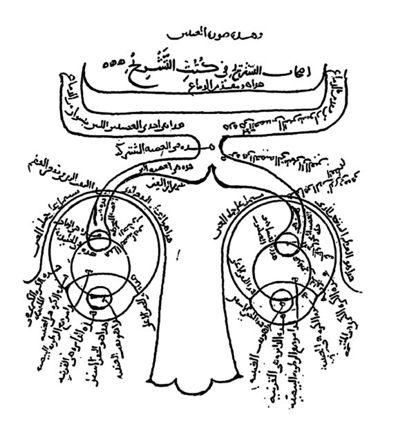 Der Aufbau des menschlichen Auges nach Ibn al-Haitham. Bild: Bibliothek der Süleymaniye-Moschee, Istanbul (CC).