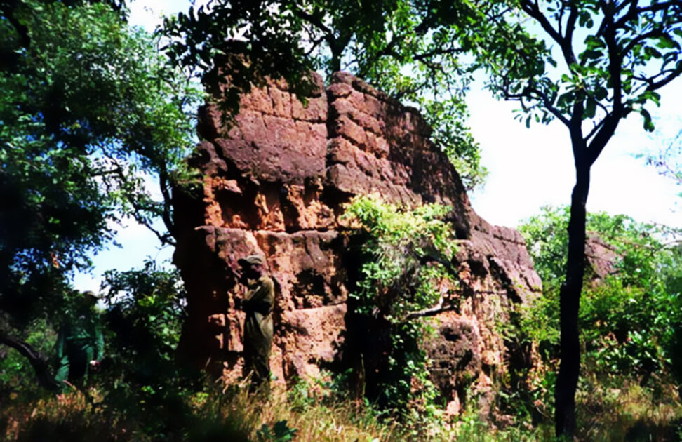 Überreste der 100 Meilen langen Sungbo-Eredo-Mauer, Afrikas größtem antiken Einzeldenkmal, im Bundesstaat Ogun in der Nähe von Lagos, Nigeria. Bild: Wikipedia/angiekake