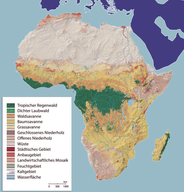 Landnutzung in Afrika in Abhängigkeit vom Klima. Im Gegensatz zu den heutigen (kolonialen) Grenzen entwickelten sich die afrikanischen Staaten oft parallel zu den west-östlichen Klimazonen. Die Karte zeigt einen schmalen roten Streifen dichter städtischer Siedlungen, der sich vom Senegal im Westen bis zum Nil im Osten erstreckt, in einer Klimazone mit gemäßigten Savannen, die für Viehzucht und Ackerbau optimal ist. Bild: IRD/Faunafri